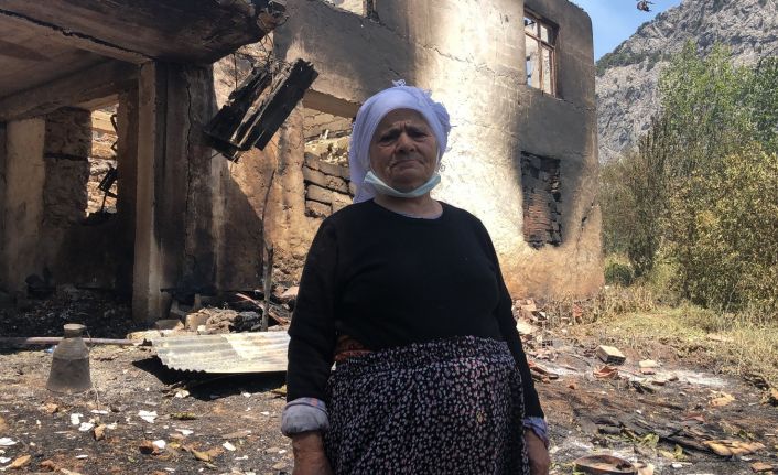 Orman yangınında 64 yıllık hatırası yok oldu