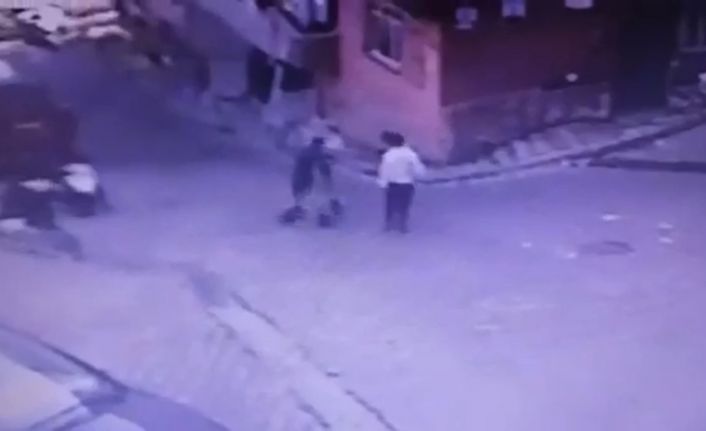 (Özel) İstanbul’da ilginç hırsızlık: “Martıyı” üzerine binip çaldılar, yunus polisine yakalandılar