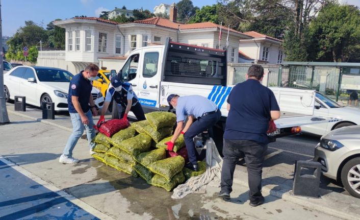 Sarıyer’de kaçak midye avcılarına baskın: “11 bin 885 TL para cezası
