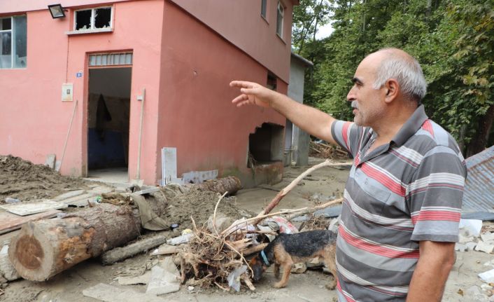 Sel mağduru vatandaşlar: “Tomruklar fişek gibi, S-400 füzesi gibi geldi”