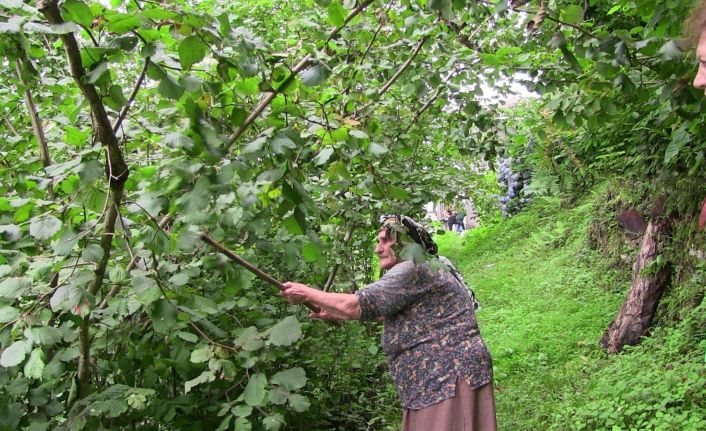 Şiddetli yağmurda istinat duvarı böyle çöktü