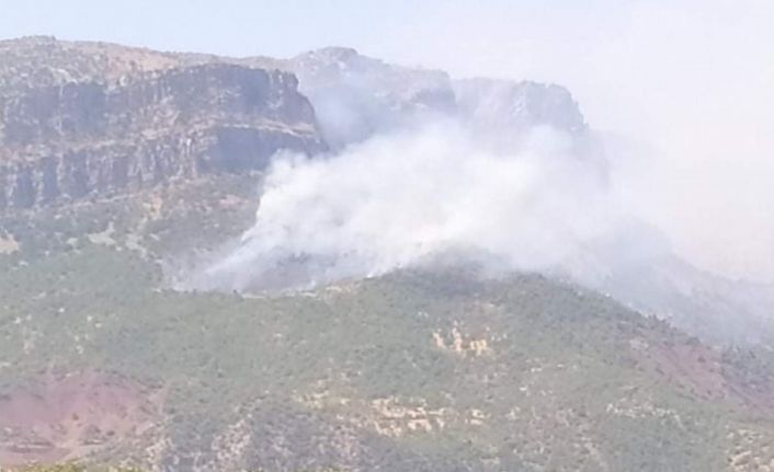 Siirt’te orman yangını