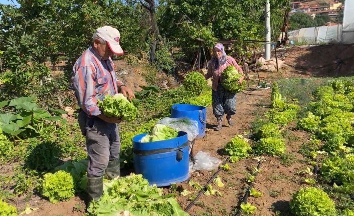 Sındırgı’nın doğal ürünler mahallesi Pürsünler