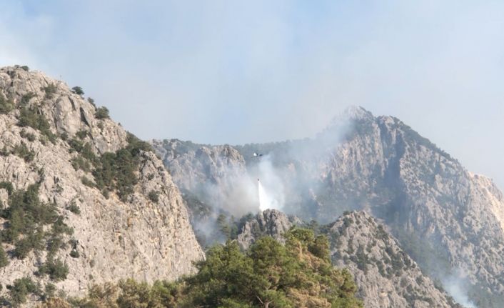 Sütçüler’deki yangında 1 hafta geride kaldı, soğutma çalışmaları devam ediyor