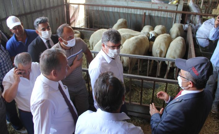 TAGEM Genel Müdürü Dr. Nevzat Birışık: “Hedefimiz dünyaya damızlık hayvan satışı yapmak”