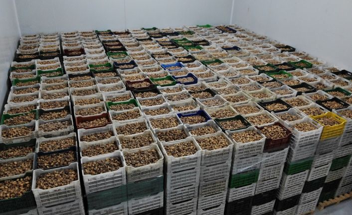 TARİŞ kuru incir fiyatları belli oldu