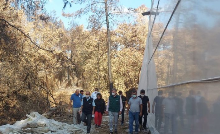 TARSİM’den Mersin, Antalya ve Muğla’ya ziyaret