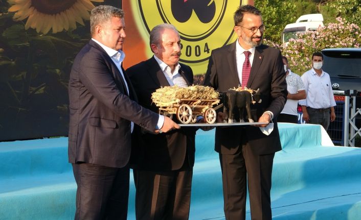 TBMM Başkanı Şentop Çorlu Tarım Fuarı’nın açılışını yaptı