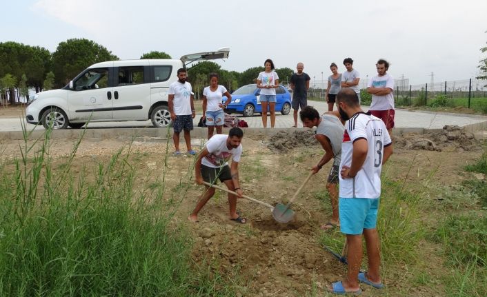 Telef olan 90 kiloluk dev kaplumbağa biyoçeşitlilik müzelerine bağışlanmak için gömüldü
