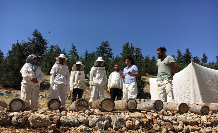 Toroslar’da Yörüklerin göç yolunda ürettiği asırlık bal yeniden üretilecek