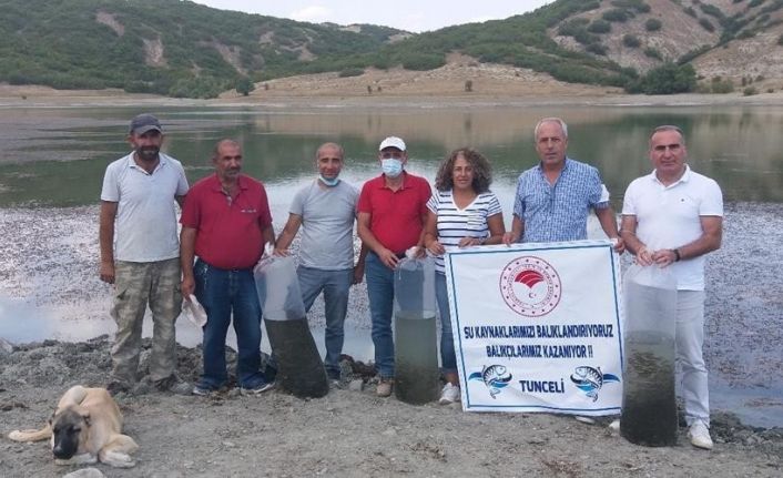 Tunceli’de Günboğazı Göletine 100 bin pullu sazan yavrusu bırakıldı