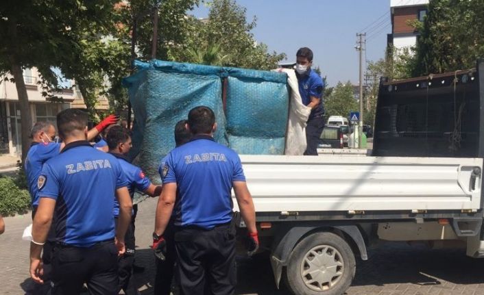 Turgutlu Zabıtası denetimleri artırdı