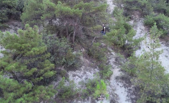 Türkiye’nin en değerli ormanları hem drone hem de yaya olarak denetleniyor