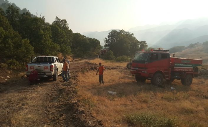 Ülke genelindeki 6 orman yangını kontrol altında