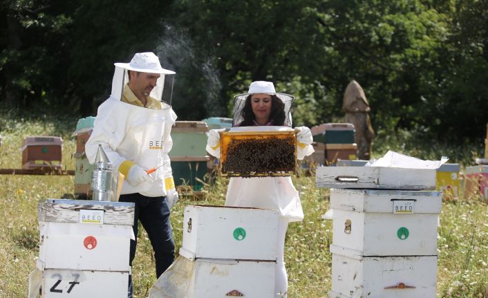 Ülke genelindeki orman yangınları arıları ve arıcılığı tehdit ediyor