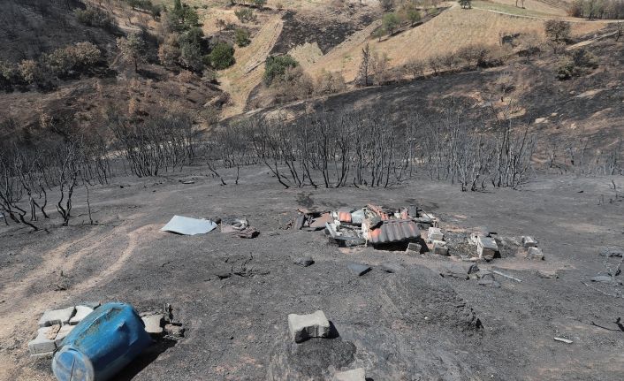 Yangında samanları ve arı kovanları küle dönen iki çiftçiye yardım eli