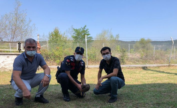 Yaralı kartala jandarma şefkati