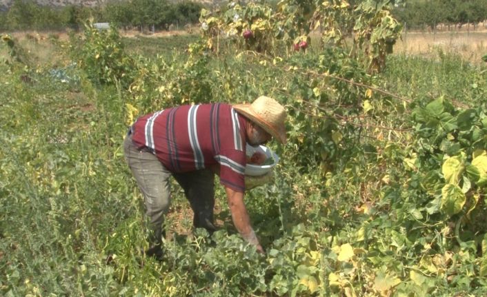 40 yıl gelmediği köyüne evini ve bahçesini kurarak geri dönüş yaptı