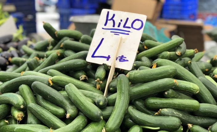 Ağustos’ta fiyatı en çok artan ürün olan salatalık 4 liradan alıcı buluyor