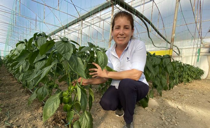 Antalya’dan çıkıyor, Balkan, Rusya ve Avrupa ülkelerine ihraç ediliyor
