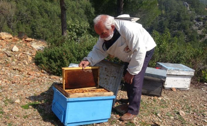 Arı kovanlarına ilaç sıkarken zehirlenip öldü