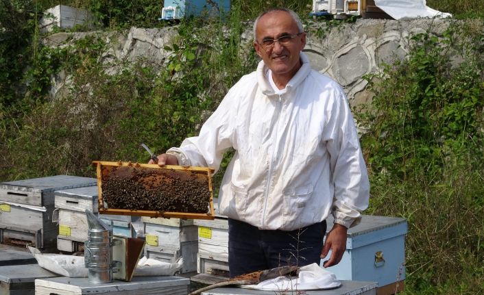 Arı üreticileri 300 ton baldan 60 milyon TL gelir elde etti