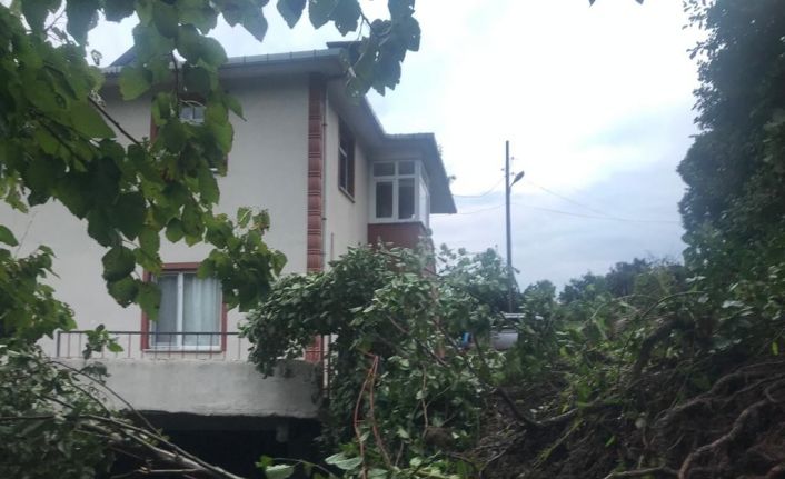 Artvin’de meydana gelen heyelan nedeniyle 6 kişinin yaşadığı 1 ev boşaltıldı