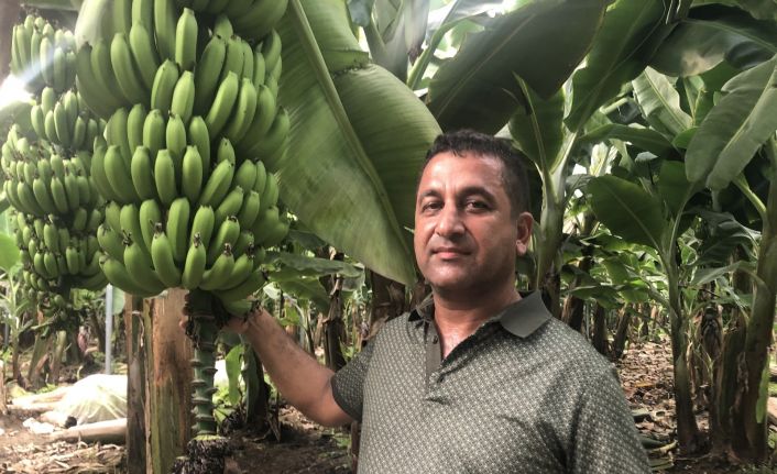 Bankalar "yetişmez" diye kredi vermedi şimdi bölgenin örnek çiftçisi oldu