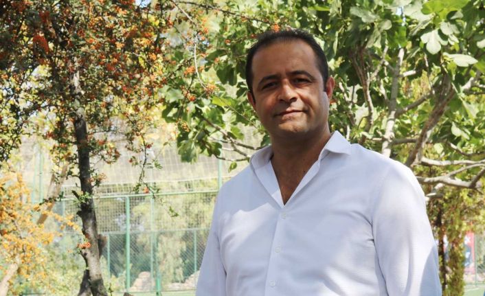 Belediye yangında zarar görmüş zeytin ağaçlarının sağlıklı gelişmesi için çalışıyor