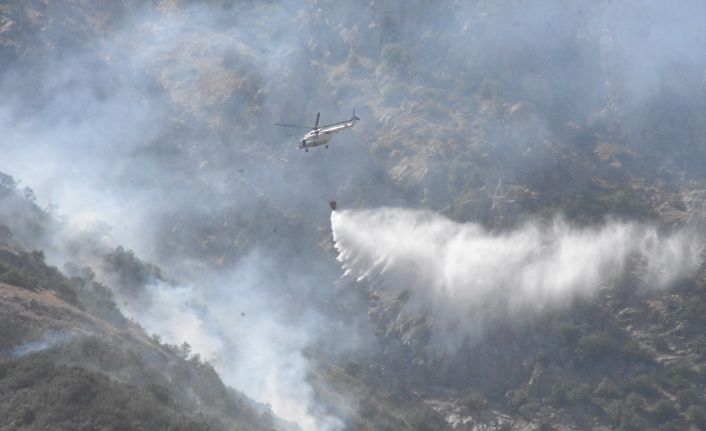 Bitlis’teki örtü yangını kontrol altına alındı