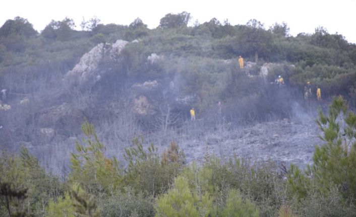 Bucak’taki orman yangını kontrol altına alındı