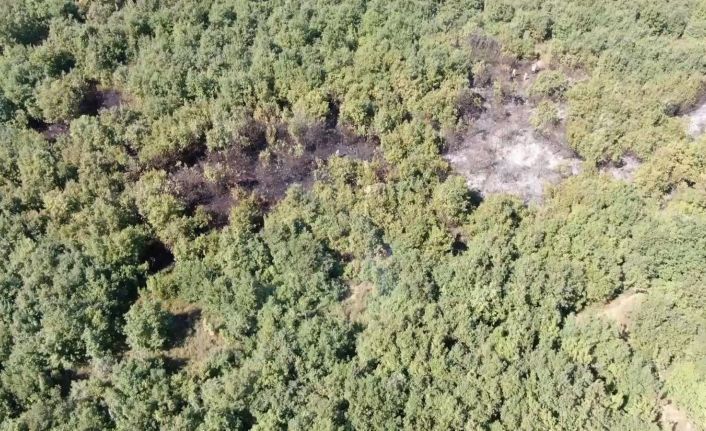 Bursa’da yerleşim alanına yakın bulunan ormanlık alandaki yangın kısa sürede söndürüldü
