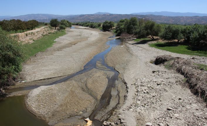 Büyük Menderes Nehri kurudu, çiftçiler tedirgin