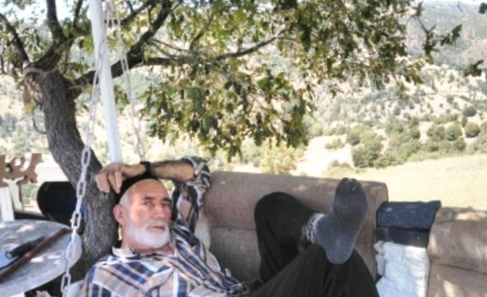 Ceviz toplarken kalp krizi geçiren yaşlı adam hayatını kaybetti