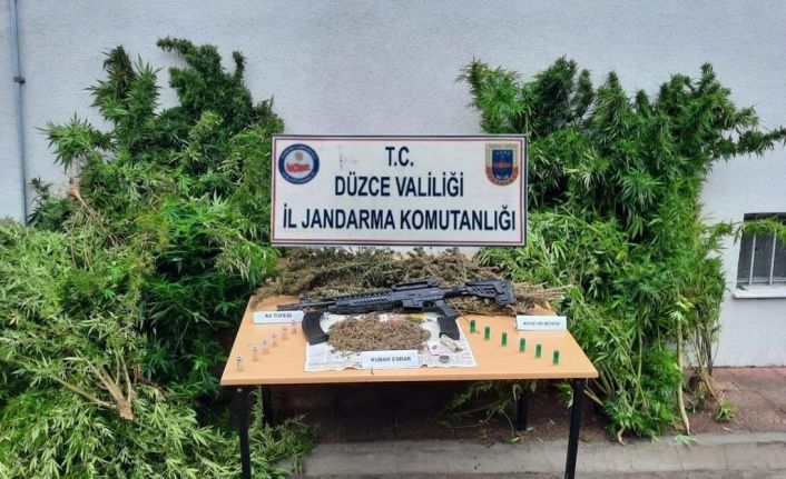 Çiftlik evde 31 kök kenevir 2 bin 900 gram esrar ele geçirildi