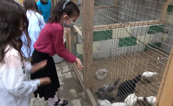 "Çocuklar hayvan sevgisiyle büyüsün" diye okula mini bir hayvanat bahçesi yaptılar