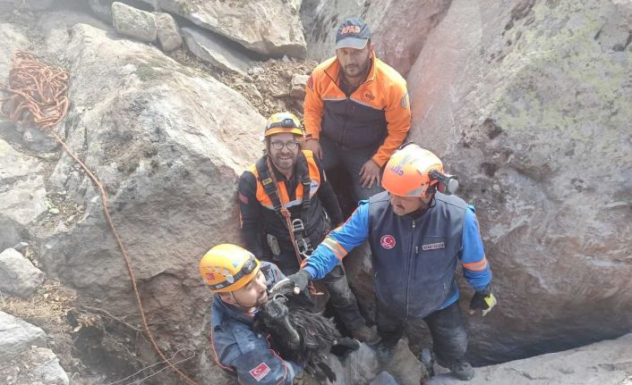Dehlizde mahsur kalan oğlağı AFAD kayayı delerek kurtardı