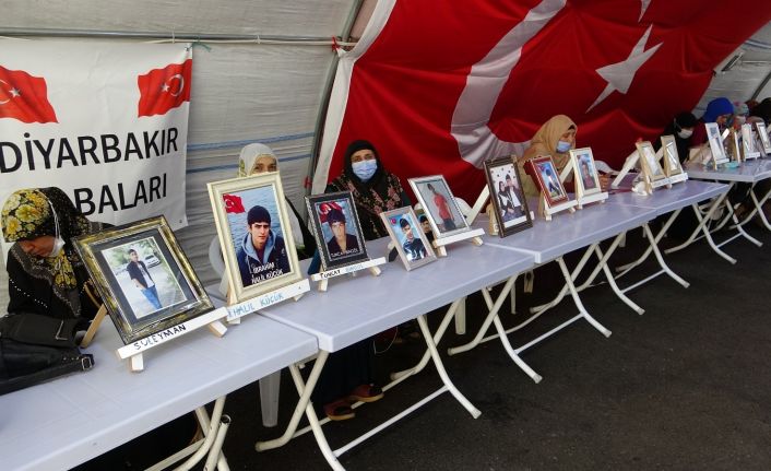 Direniş devam ediyor, çığlıkları dağ gibi yükseliyor