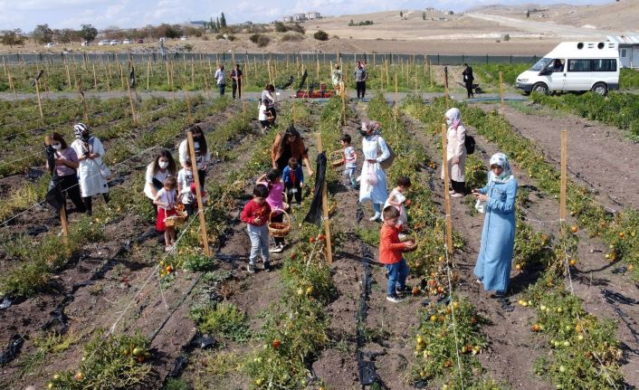 Doğayla baş başa bostan keyfi