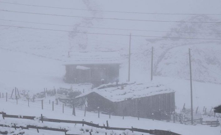 Doğu Karadeniz’in yüksek kesimlerinde kar kalınlığı 30 santimetreyi buldu