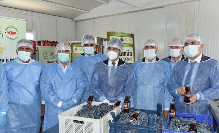 DÜ Ziraat Fakültesi üzüm ürünleri işleme tesisi açılışı ve tadım etkinliği yapıldı