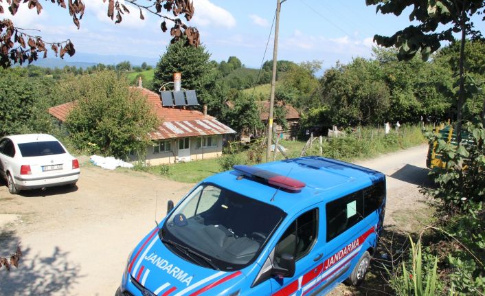 Düzce’ye fındık toplamaya gelen ailede kavga: 2 ölü, 2’si ağır 4 yaralı