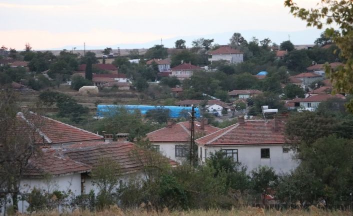 Edirne’de kırmızı alarm: Kan emen sinek bulaştırdı, 8 köyde ‘mavi dil’ karantinası başlatıldı