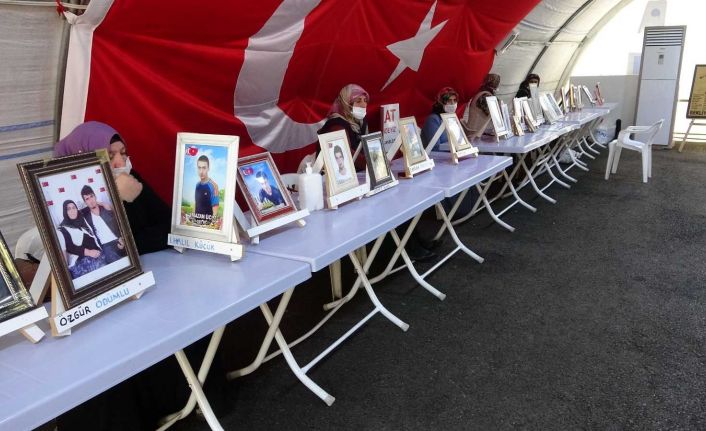 Evlat hasreti çeken baba Ödümlü: “Onların çocukları Avrupa’da yaşıyorlar bizimkiler dağda cenazeleri bile göremiyoruz”