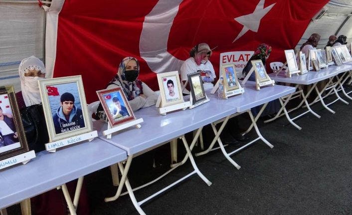 Evlat nöbeti tutan baba Aydın: “HDP milletvekilleri Kandil’i çok seviyorlarsa onlar gitsinler, neden gitmiyorlar”