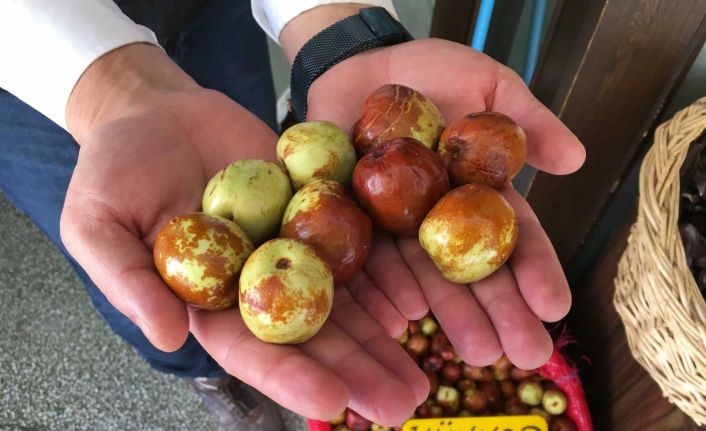 Faydaları saymakla bitmeyen hünnaba ilgi büyük