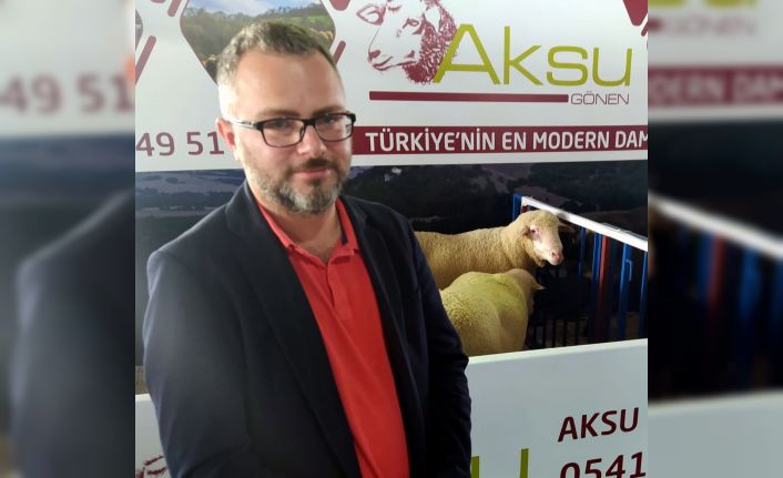 Festivalde Türk Merinos koyununa yoğun ilgi