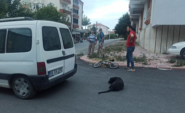 Hafif ticari araca çarpan bisikletli  çocuk yaralandı