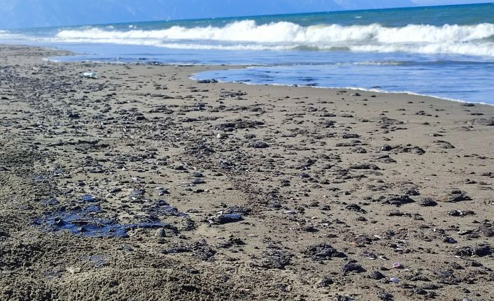 Hatay Samandağ sahilinde petrol sızıntısı temizliği 9. gün de devam ediyor