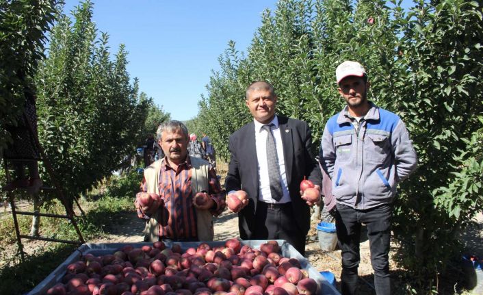 Isparta’da dalında 2,5 liraya kadar alınan elmanın büyük marketlerde 7-8 lira arasında satılmasına tepki